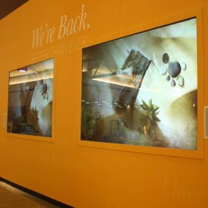 Grey Rear Projection Film